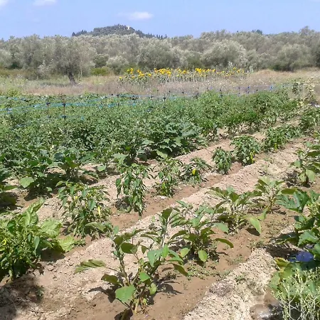 Aroggia Farm Bauernhof *
