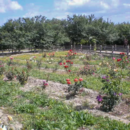 Agroturismo Aroggia Farm *