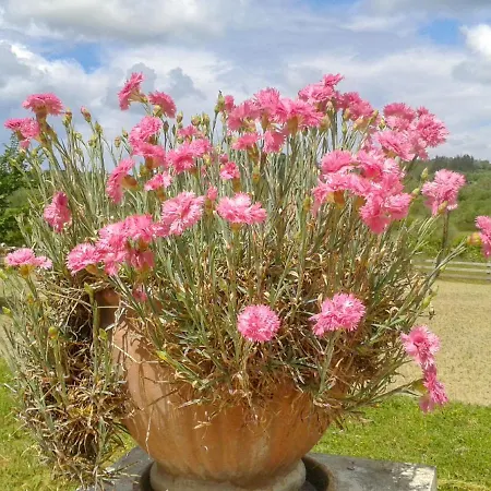 Aroggia Farm *