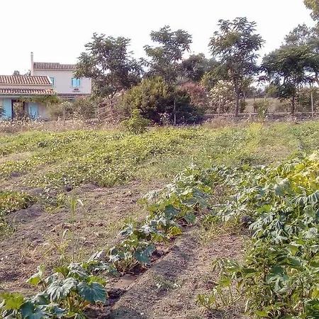 Agroturismo Aroggia Farm
