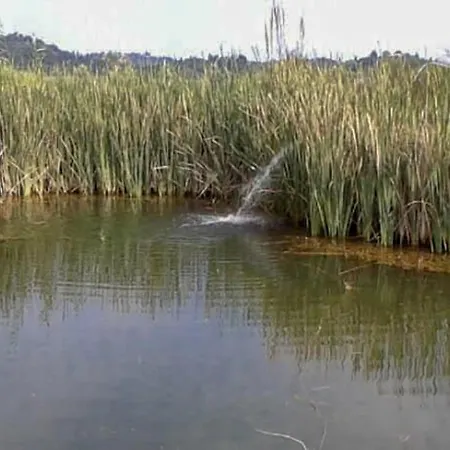 Agroturismo Aroggia Farm *