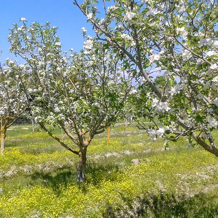 Aroggia Farm Bauernhof *