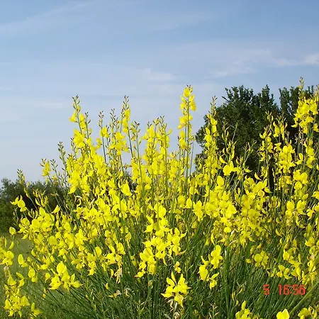 Agroturismo Aroggia Farm