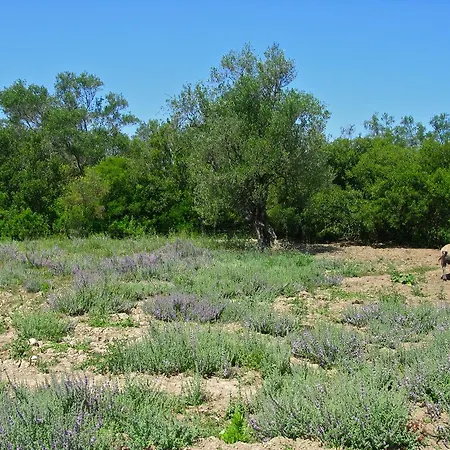 Aroggia Farm