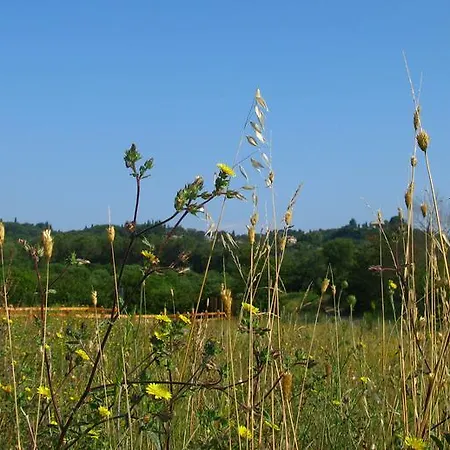 Aroggia Farm *