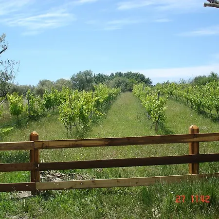 Agroturismo Aroggia Farm