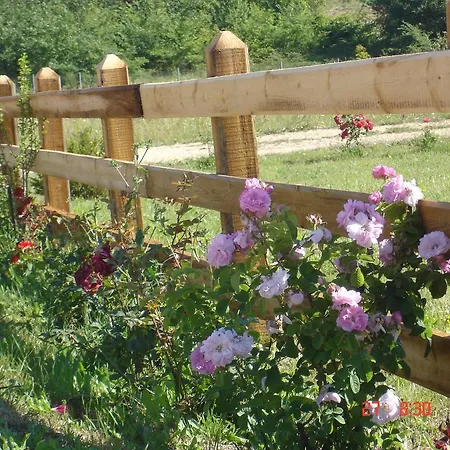 Aroggia Farm