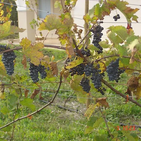 Aroggia Farm Bauernhof