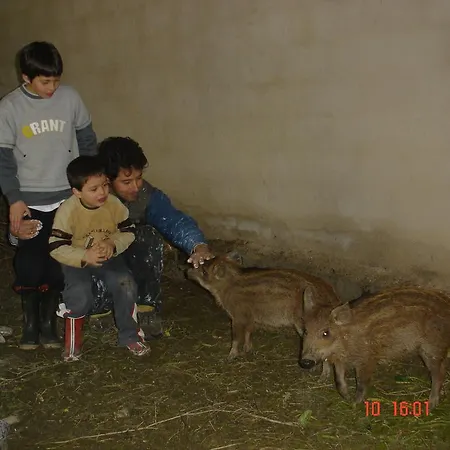 Aroggia Farm Agroturismo *