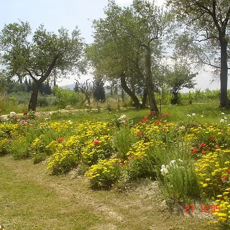 Aroggia Farm *
