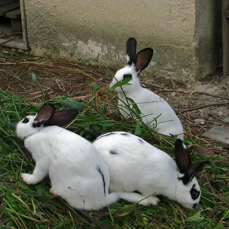 Aroggia Farm Lantgård Xanthátai