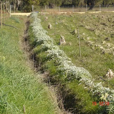 Aroggia Farm * Xanthátai