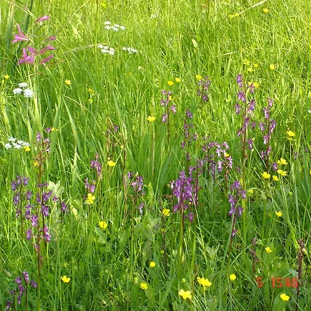 Aroggia Farm * Xanthátai