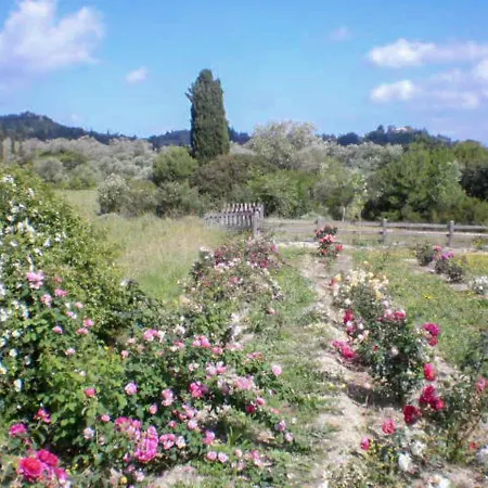 Aroggia Farm 팜스테이