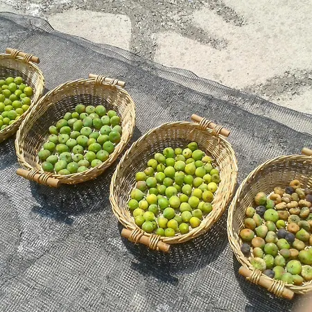 Aroggia Farm مزرعة للإقامة