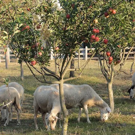 Aroggia Farm Bauernhof Xanthátai