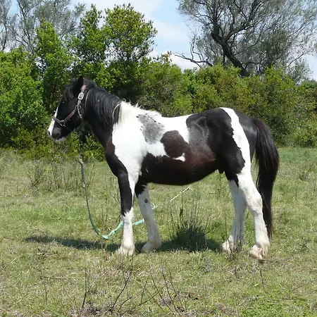 Aroggia Farm 农家乐