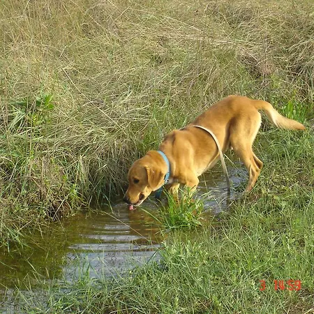 Aroggia Farm * Xanthátai