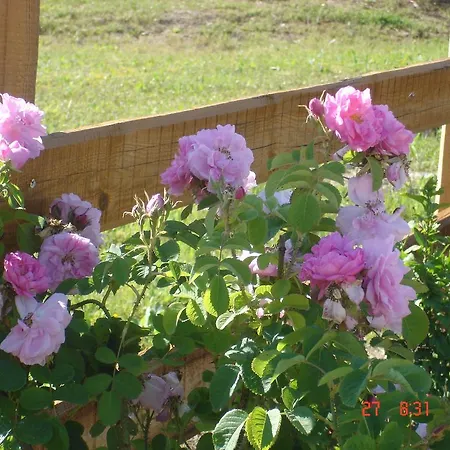 Aroggia Farm * Xanthátai