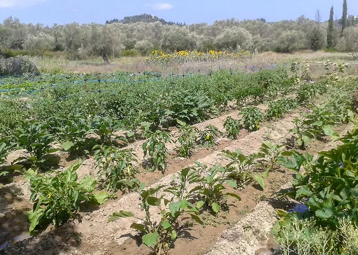 Aroggia Farm 农家乐 *