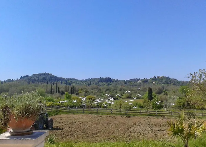 Aroggia Farm * Xanthátai