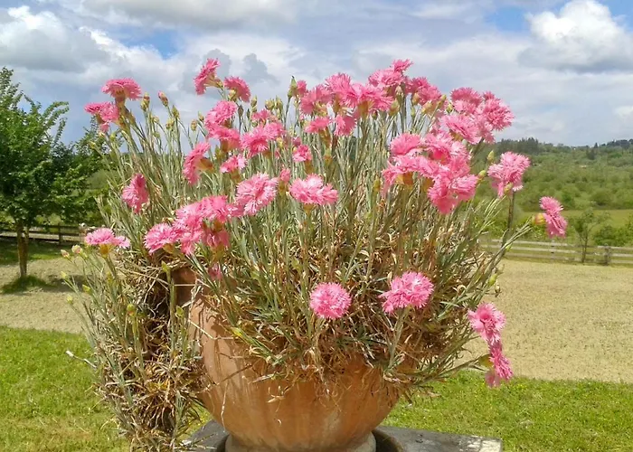 Aroggia Farm *