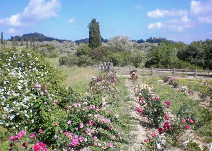 Aroggia Farm Bauernhof