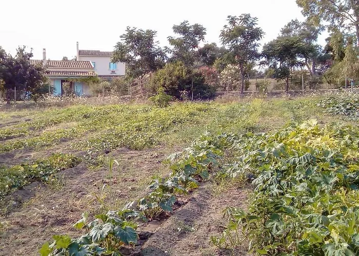 Bauernhof Aroggia Farm