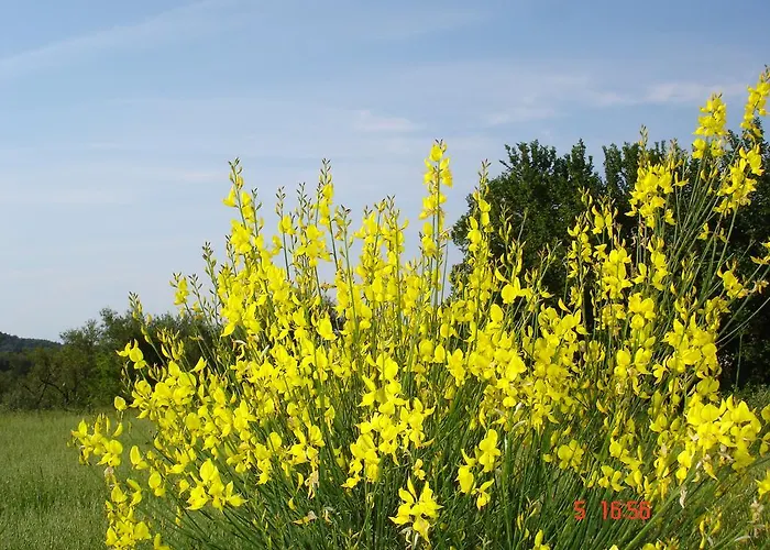 Bauernhof Aroggia Farm