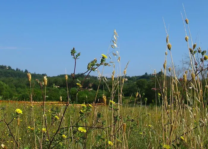 Aroggia Farm *