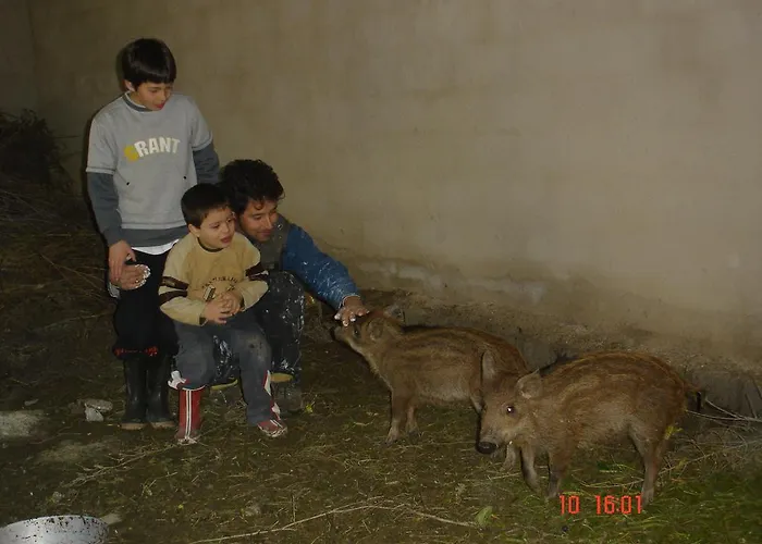 Aroggia Farm Bauernhof *