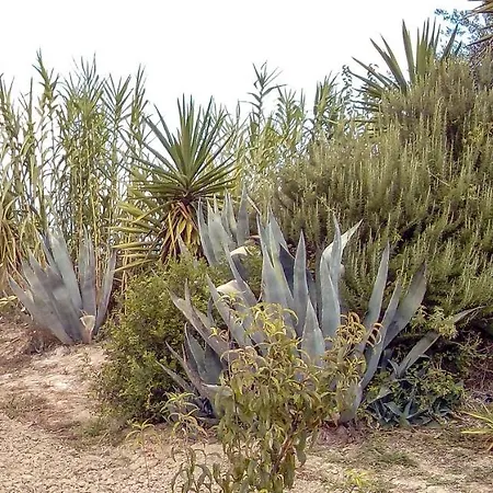 Aroggia Farm Farma *