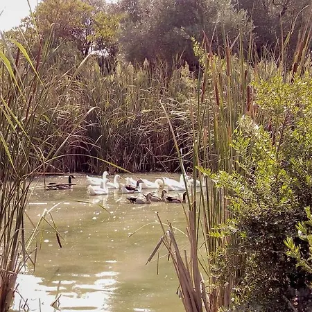 Çiftlik konaklama Aroggia Farm Xanthátai