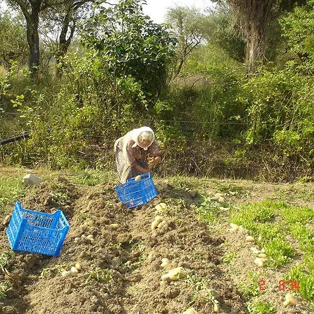 Aroggia Farm Çiftlik konaklama *