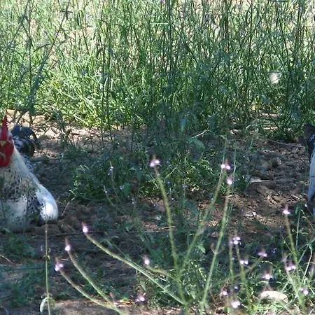 Çiftlik konaklama Aroggia Farm Xanthátai