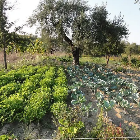 Aroggia Farm * Xanthátai