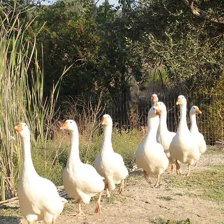Farm stay Aroggia Farm Xanthatai