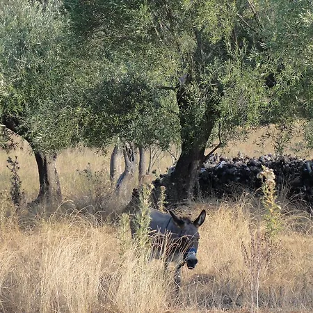 Çiftlik konaklama Aroggia Farm