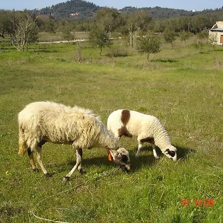 Aroggia Farm Çiftlik konaklama