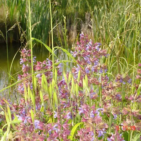 Aroggia Farm Çiftlik konaklama Xanthátai