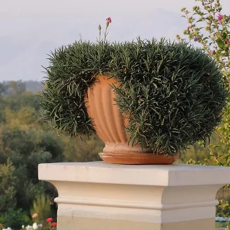 Aroggia Farm Xanthátai