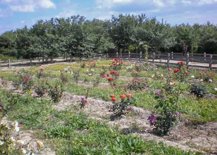 Farma Aroggia Farm *