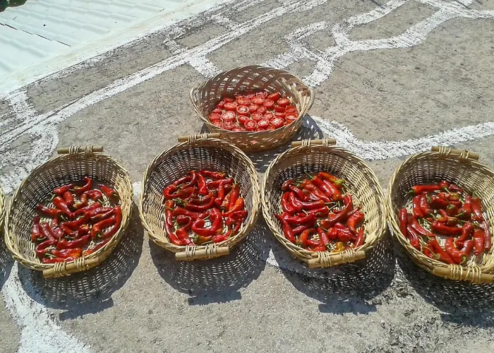 Farma Aroggia Farm Xanthátai