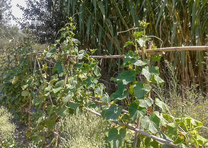 Aroggia Farm Farma Xanthátai