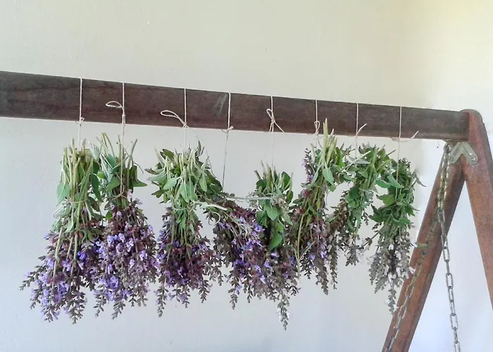 Aroggia Farm