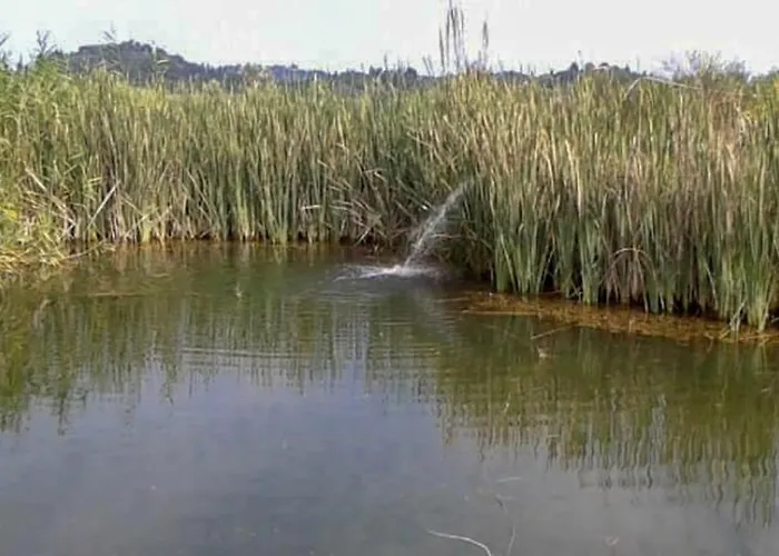 Farma Aroggia Farm *