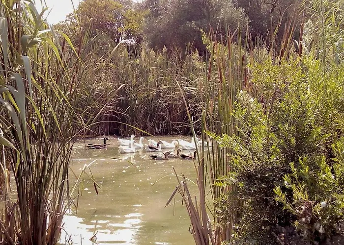 Farma Aroggia Farm Xanthátai