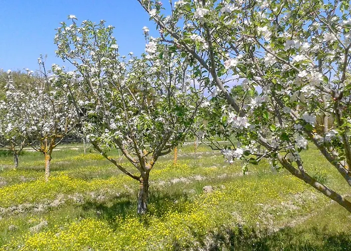Aroggia Farm Farma *