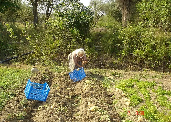 Aroggia Farm Farma *
