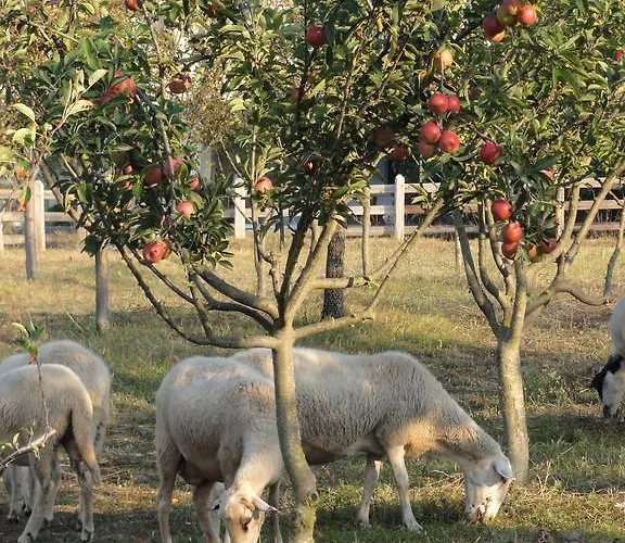 Aroggia Farm Farma Xanthátai